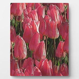 Roze Tulpen Bloemstuk Fotoplaat