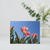 Roze tulpen & Blue Sky DIY-Briefkaart Briefkaart (Staand voorkant)