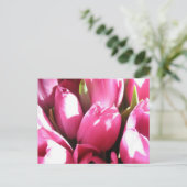 Roze tulpen briefkaart (Staand voorkant)