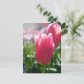 Roze tulpen briefkaart (Staand voorkant)