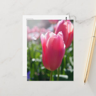 Roze tulpen briefkaart