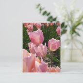 Roze tulpen briefkaart (Staand voorkant)