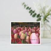 roze tulpen briefkaart (Staand voorkant)