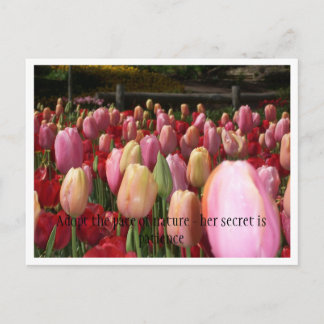 roze tulpen briefkaart