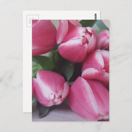 Roze tulpen briefkaart (Voorkant / Achterkant)