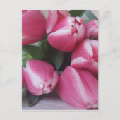 Roze tulpen briefkaart (Voorkant)