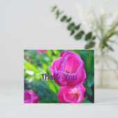 Roze Tulpen Briefkaart (Staand voorkant)