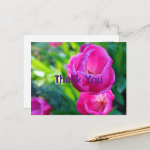 Roze Tulpen Briefkaart