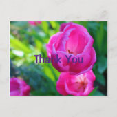 Roze Tulpen Briefkaart (Voorkant)