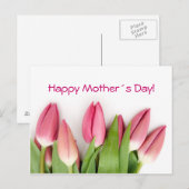 Roze tulpen briefkaart (Voorkant / Achterkant)