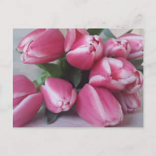 Roze tulpen briefkaart
