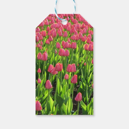 Roze tulpen cadeaulabel (Achterkant)