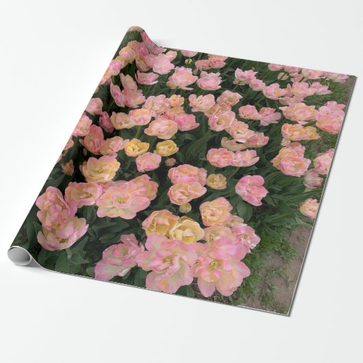 Roze tulpen cadeaupapier (Uitgerold)