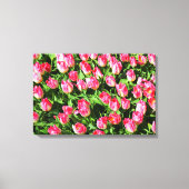 Roze tulpen canvas afdruk (Voorkant)