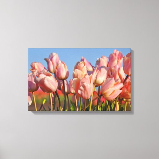 Roze tulpen canvas afdruk (Voorkant)