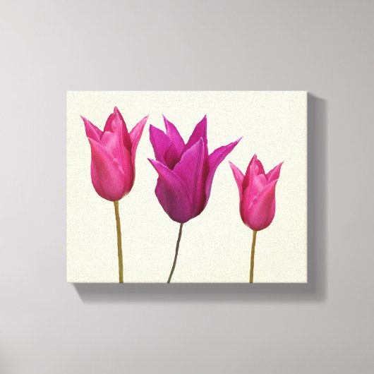 roze tulpen Eenvoudige bloemenstijlvolle stijlvol Canvas Afdruk (Voorkant)