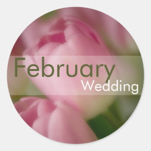 Roze Tulpen · Februari bruiloft Sticker