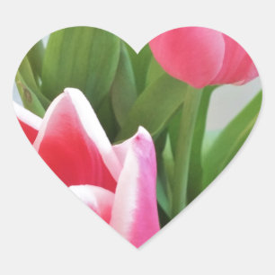 Roze tulpen, Floral Spring Bouquet, Flowers Hart Sticker