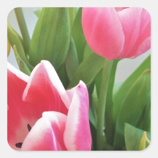 Roze tulpen, Floral Spring Bouquet, Flowers Vierkante Sticker (Voorkant)
