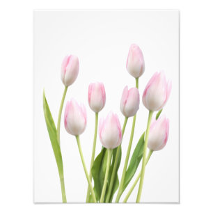 Roze tulpen foto afdruk
