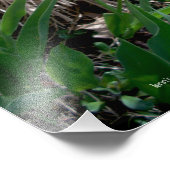 Roze Tulpen Fotoprint met Quote Foto Afdruk (Hoek)