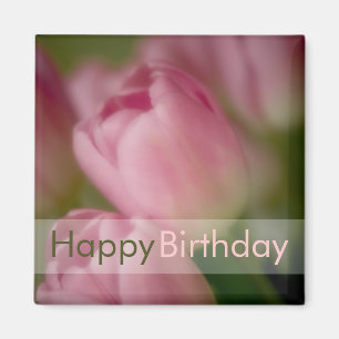 Roze tulpen ・ Happy Birthday Magnet