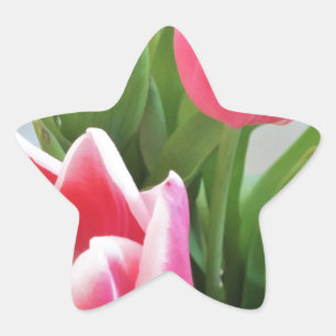 Roze Tulpen, het BloemenBoeket van de Lente, Ster Sticker