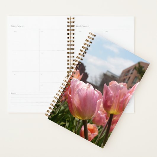 Roze Tulpen in Boston Planner (Display)