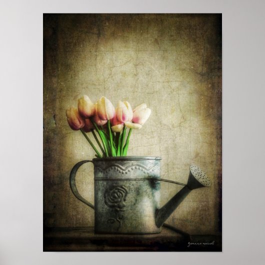 Roze tulpen in gietkan poster (Voorkant)