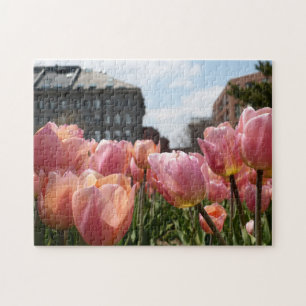 Roze Tulpen in het noordelijk deel van Boston Legpuzzel