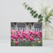 Roze Tulpen in Montreal, Canada - Briefkaart (Staand voorkant)