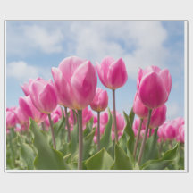 Roze Tulpen Inpakpapier 