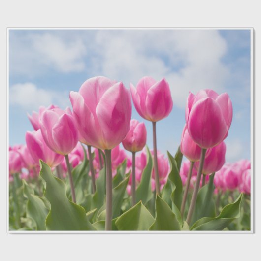 Roze Tulpen Inpakpapier  (Vlak)