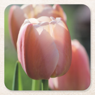 Roze tulpen kartonnen onderzetters
