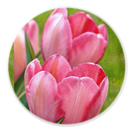 Roze tulpen keramische knop (Voorkant)