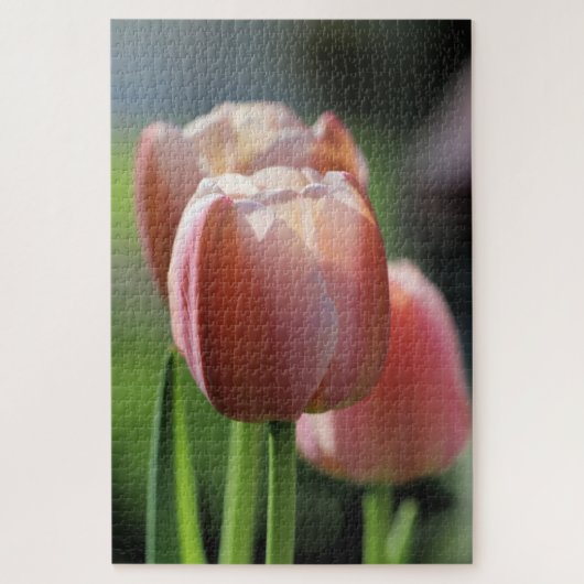 Roze tulpen legpuzzel (Verticaal)