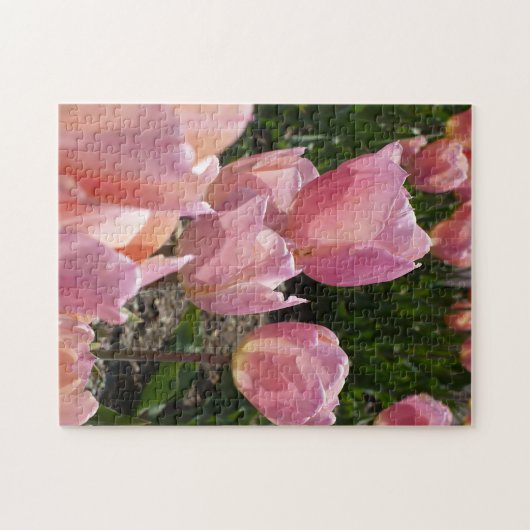 Roze tulpen legpuzzel (Horizontaal)