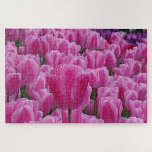 Roze Tulpen Legpuzzel (Horizontaal)