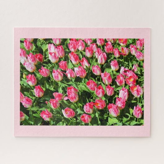 Roze tulpen legpuzzel (Horizontaal)