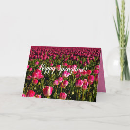 Roze tulpen, lente groet, roze bloemen kaart