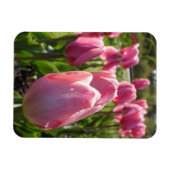 Roze tulpen magneet (Horizontaal)