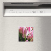 Roze tulpen magneet (Insitu (Vaatwasser))