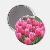 Roze tulpen magneet (Voorkant / Achterkant)