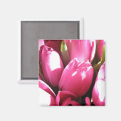 Roze tulpen magneet (Voorkant / Achterkant)