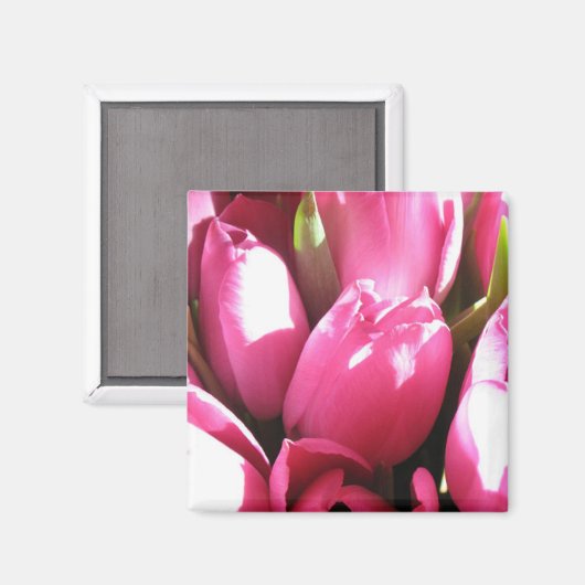 Roze tulpen magneet (Voorkant / Achterkant)