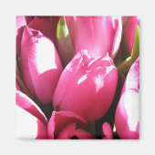 Roze tulpen magneet (Voorkant)