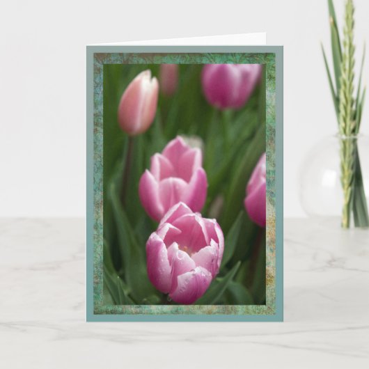 Roze tulpen met dauwdruppels kaart (Voorkant)