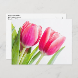 Roze tulpen met groene bladeren Foto Briefkaart