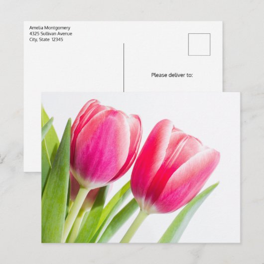 Roze tulpen met groene bladeren Foto Briefkaart (Voorkant / Achterkant)