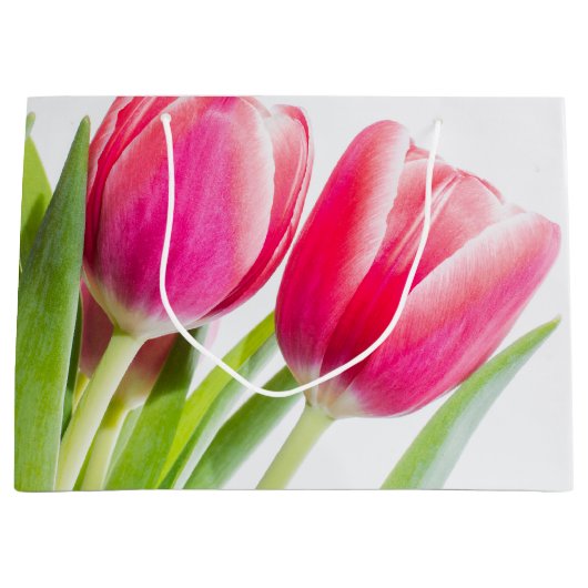 Roze tulpen met groene bladeren Foto Groot Cadeauzakje (Voorkant)